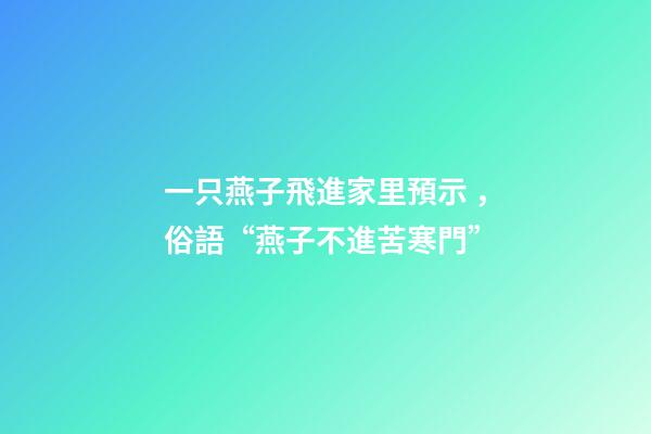一只燕子飛進家里預示，俗語“燕子不進苦寒門”-第1張-觀點-玄機派